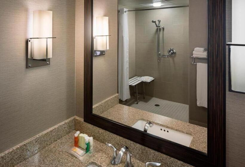 장애인을 위한 킹사이즈 침대 스탠다드 룸, Holiday Inn New Orleans Downtown Superdome, An Ihg