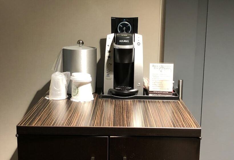 标准间, Holiday Inn New Orleans Downtown Superdome, An Ihg