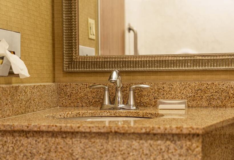 장애인을 위한 스탠다드 룸, Holiday Inn New Orleans Downtown Superdome, An Ihg