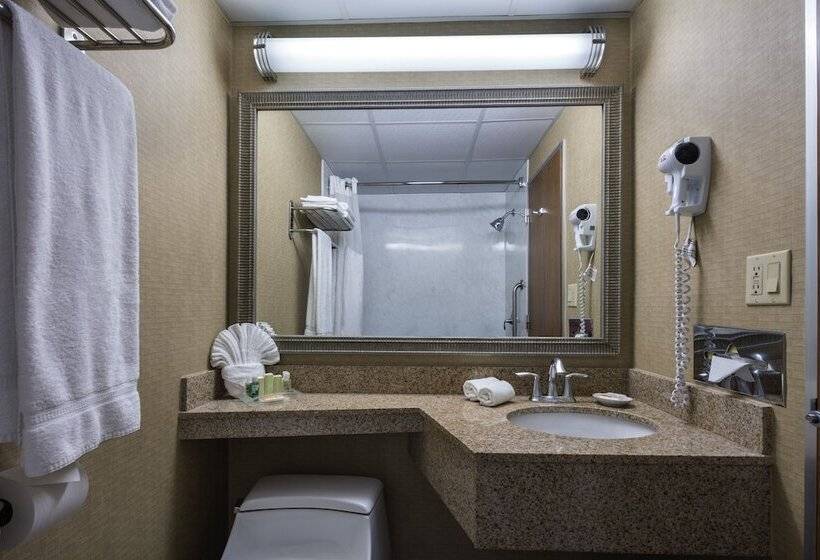 장애인을 위한 스탠다드 룸, Holiday Inn New Orleans Downtown Superdome, An Ihg