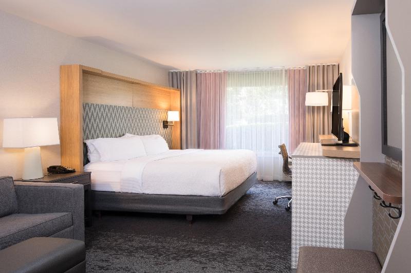 스탠다드 룸 킹사이즈 침대, Holiday Inn Washington College Pk I 95
