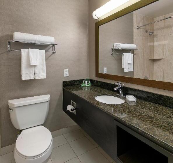 스탠다드 룸 킹사이즈 침대, Holiday Inn West Covina, An Ihg