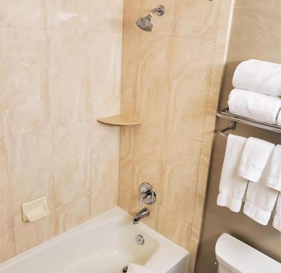 장애인을 위한 스탠다드 룸, Holiday Inn West Covina, An Ihg