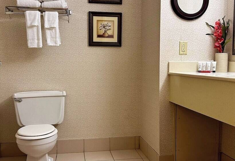 Полулюкс, Red Lion Hotel Harrisburg Hershey
