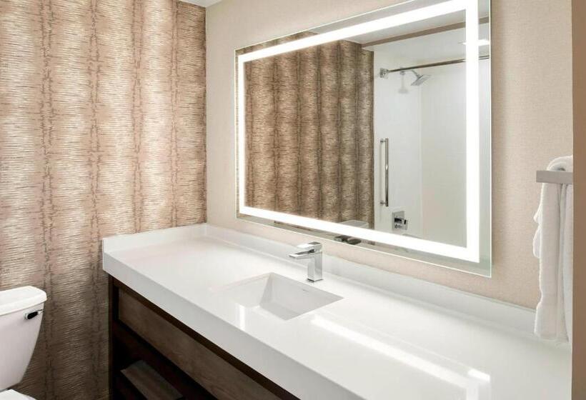 Chambre Standard Lit King Size Adaptée aux Personnes à Mobilité Réduite, Chattanooga Marriott Downtown