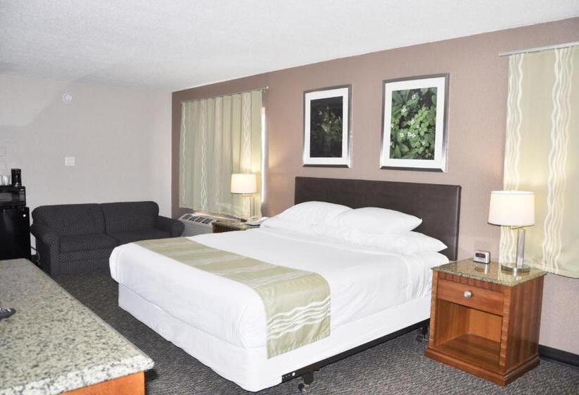 스탠다드 룸 킹사이즈 침대, Bison Inn & Suites On University