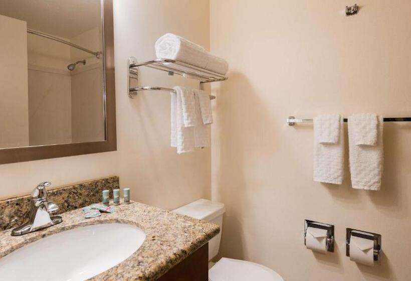 Стандартный Номер Кровать Кинг, Best Western Cascadia Inn
