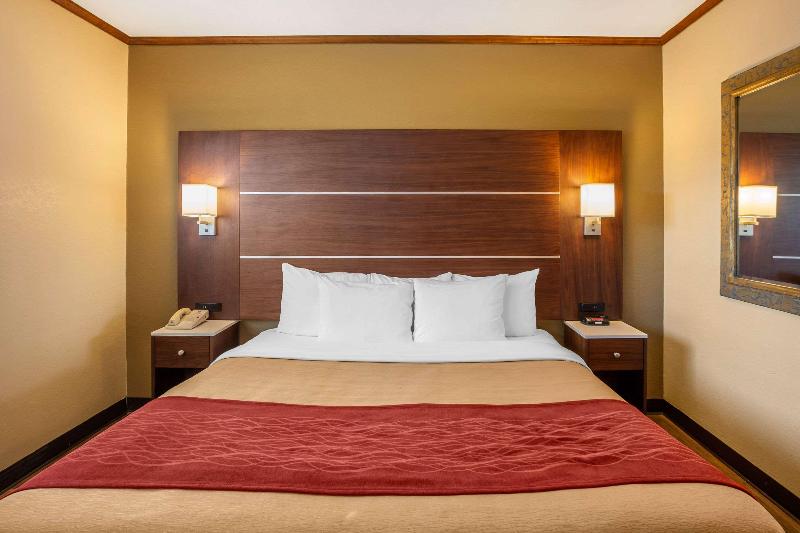 Cameră Standard Pat King Size, Comfort Inn San Diego Airport At The Harbor