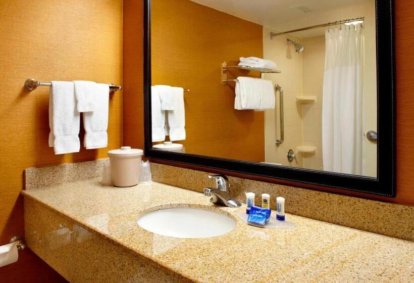 스탠다드 룸 킹사이즈 침대, Fairfield Inn & Suites Parsippany