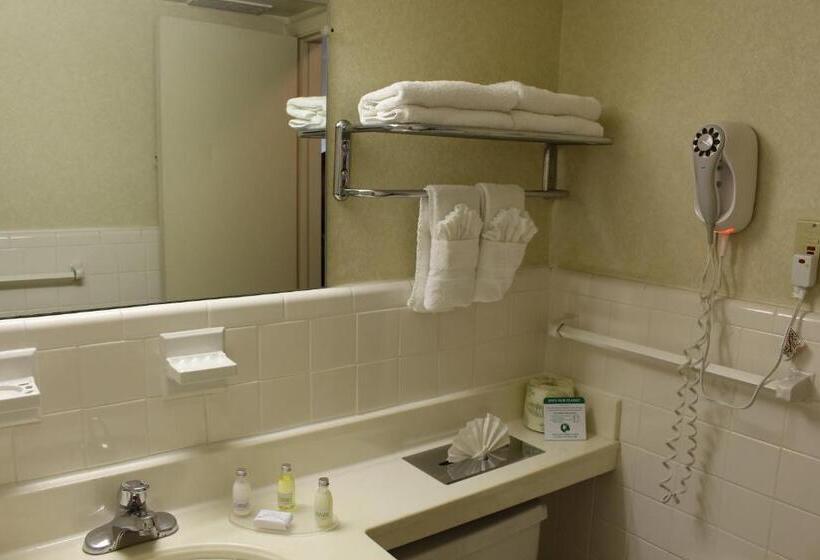 Номер Стандарт 2 Двуспальные Кровати, Governor House Inn Arlington/falls Church