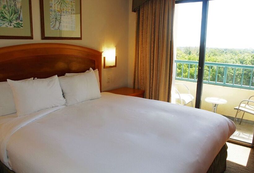 Люкс, Hilton Boca Raton Suites