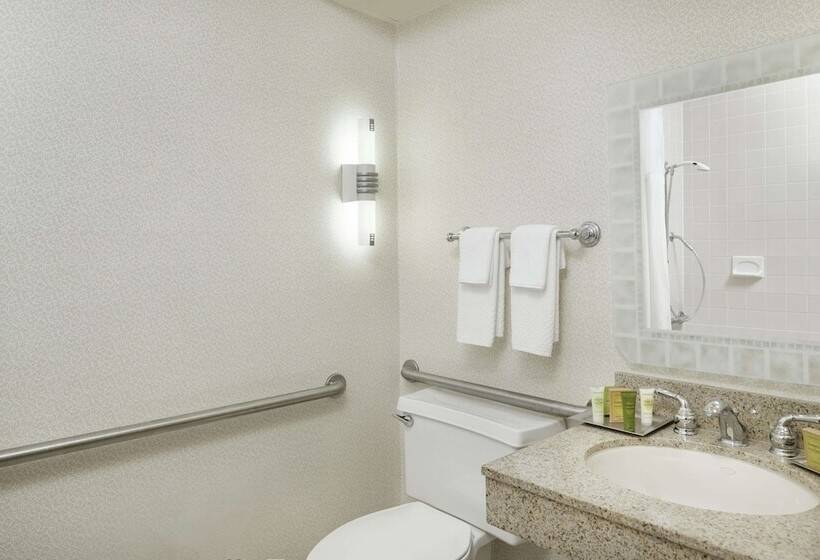 Люкс Адаптированный для Инвалидов, Hilton Boca Raton Suites