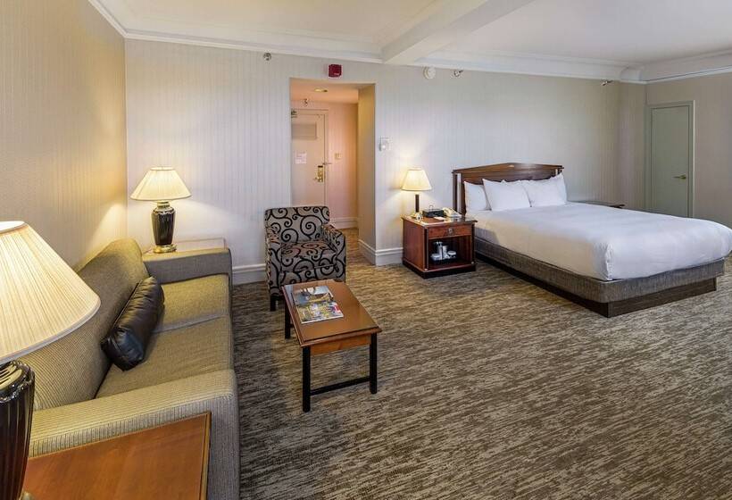 Mini Suite, Hilton Cincinnati Netherland Plaza