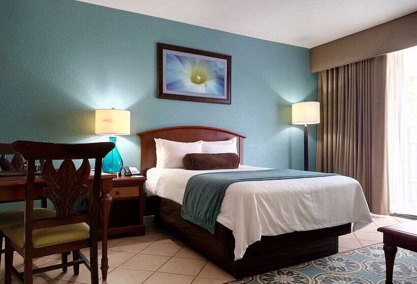 Студия Стандарт, Club Wyndham Palm Aire