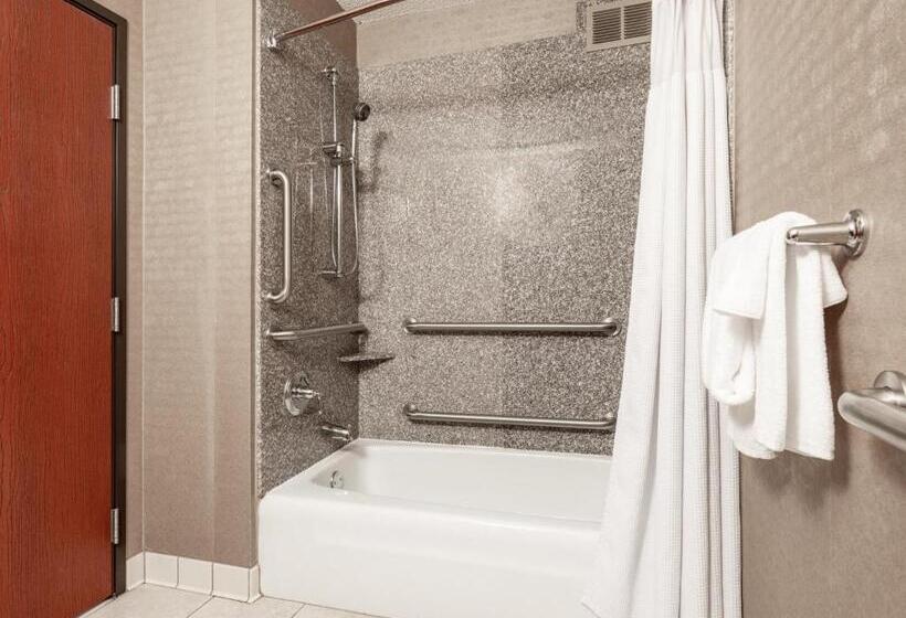 장애인을 위한 킹사이즈 침대 스탠다드 룸, Crowne Plaza Milwaukee South, An Ihg