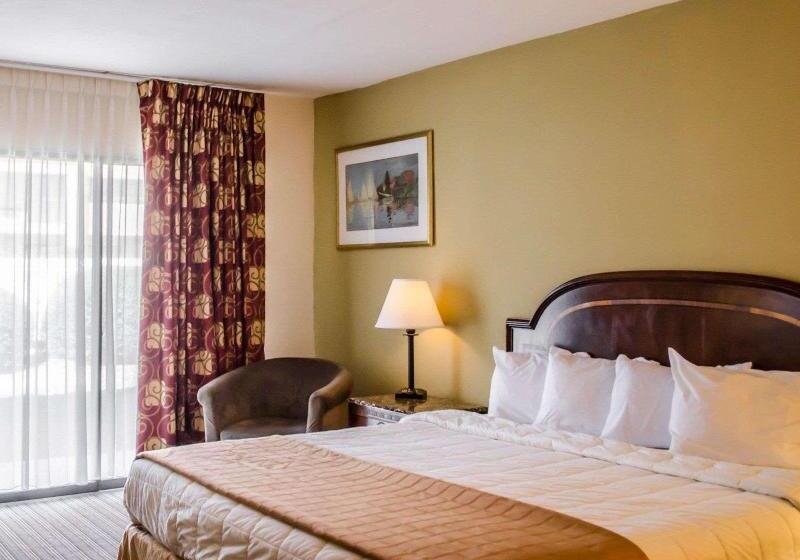 Стандартный Номер Кровать Кинг, Quality Inn & Suites Pensacola Bayview