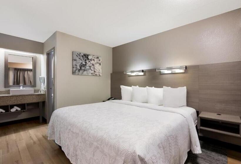 스탠다드 룸 킹사이즈 침대, Red Roof Inn Plus+ Chicago   Naperville