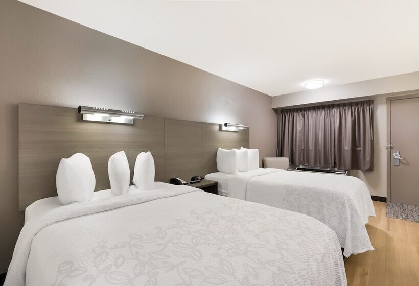 스탠다드 룸 더블 침대 2개, Red Roof Inn Plus+ Chicago   Naperville