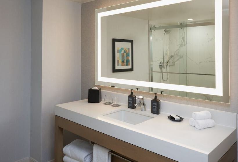 اتاق استاندارد با 2 تخت دوبل, Sheraton Pittsburgh Hotel At Station Square