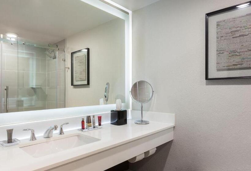 스탠다드 룸 킹사이즈 침대, Marriott Tampa Westshore