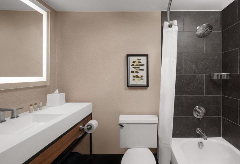 Номер Стандарт, Renaissance Chicago North Shore