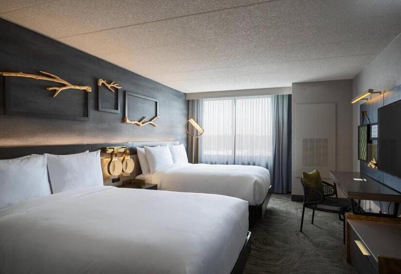 Номер Стандарт, Renaissance Chicago North Shore