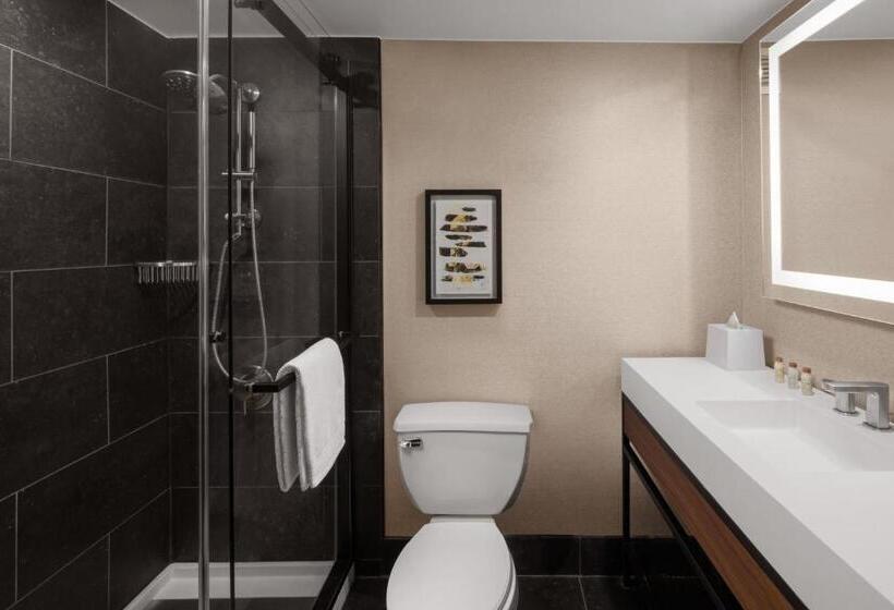 Номер Стандарт, Renaissance Chicago North Shore