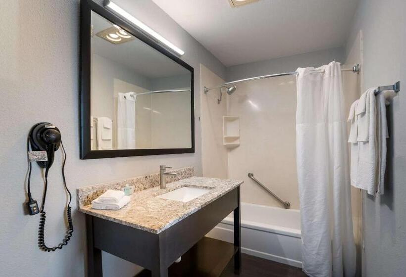 اتاق استاندارد با تخت دو نفره بزرگ برای معلولان, Richland Riverfront Hotel, Ascend Hotel Collection