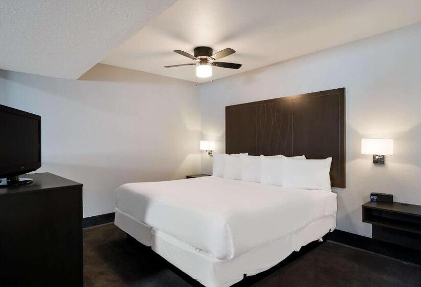 سوئیت با تخت بزرگ, Richland Riverfront Hotel, Ascend Hotel Collection