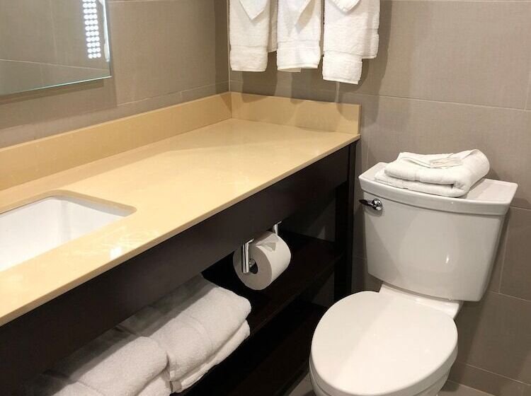 اتاق لوکس با چشم‌انداز استخر, Wyndham Lancaster Resort And Convention Center