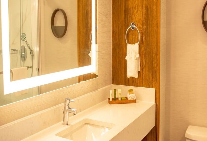 Полулюкс, Hilton Hasbrouck Heights/meadowlands