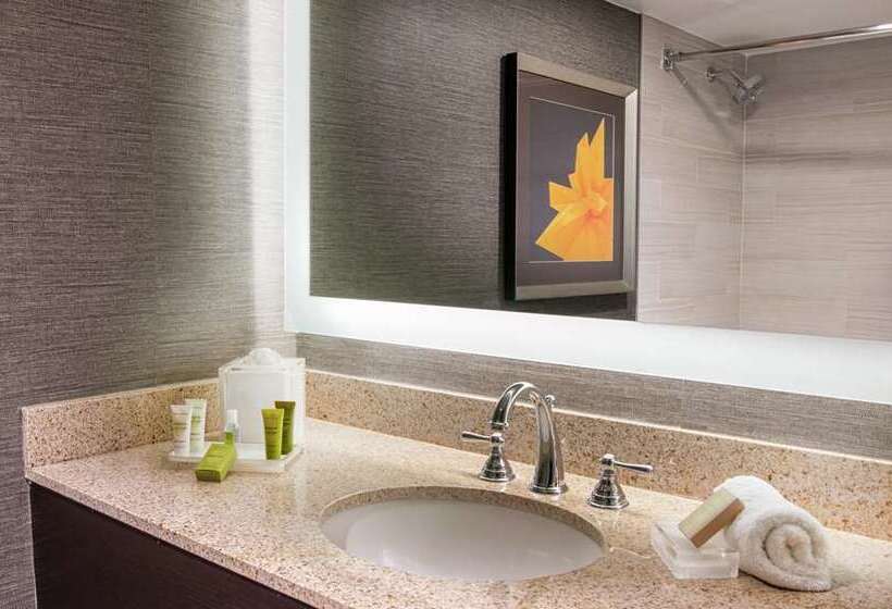 带2个双人床的标准工作室, Hilton Parsippany
