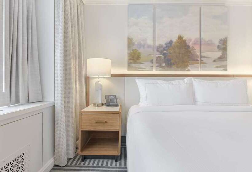 带大床的标准间, Hilton Parsippany