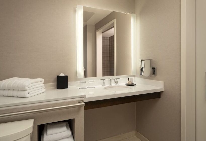 장애인을 위한 더블 침대 스탠다드 룸, The Westin South Coast Plaza, Costa Mesa