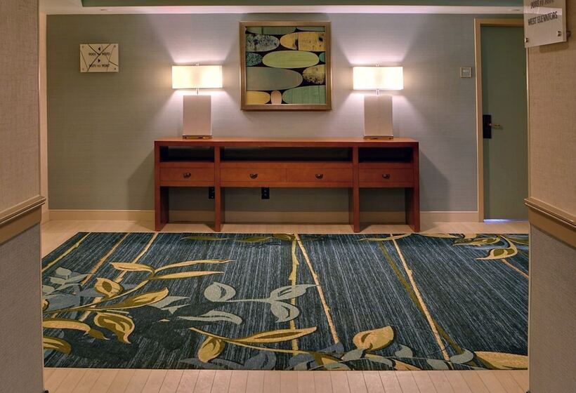 带2个双人床的标准工作室, Walt Disney World Dolphin