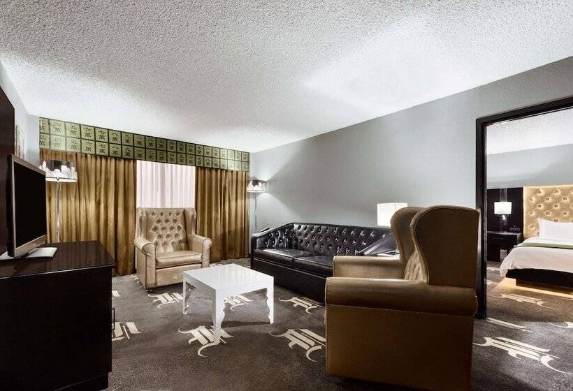 套房, Wyndham Garden Dallas North