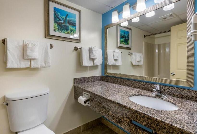 اتاق لوکس با تخت بزرگ, Tropical Winds Resort
