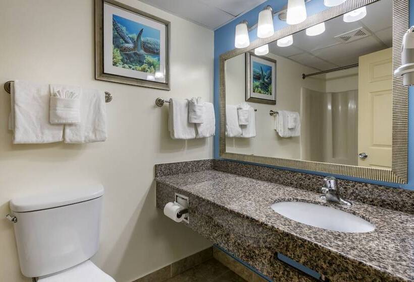 اتاق لوکس با چشم‌انداز دریا, Tropical Winds Resort