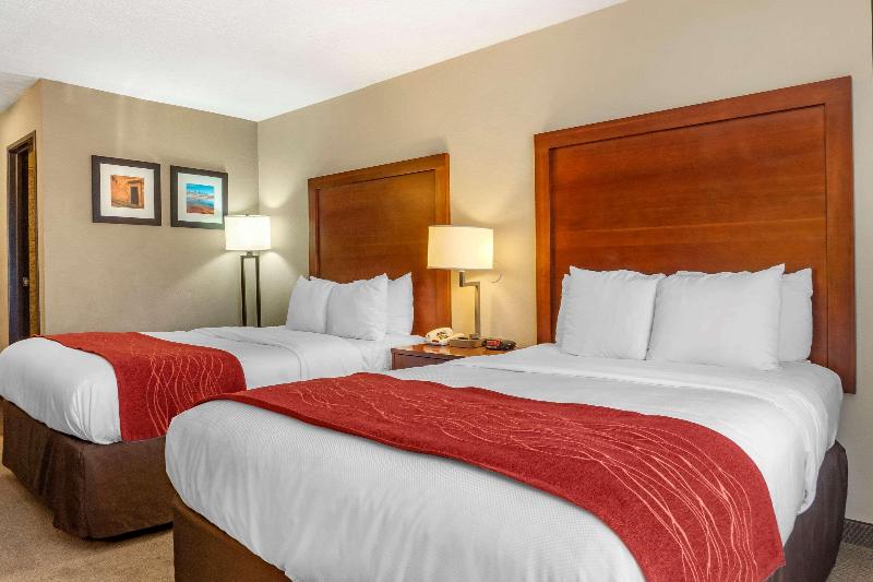 스탠다드 룸, Crowne Plaza Shanghai, An Ihg