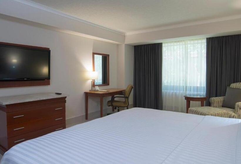 اتاق استاندارد با تخت بزرگ, Holiday Inn Tuxtla Gutierrez, An Ihg