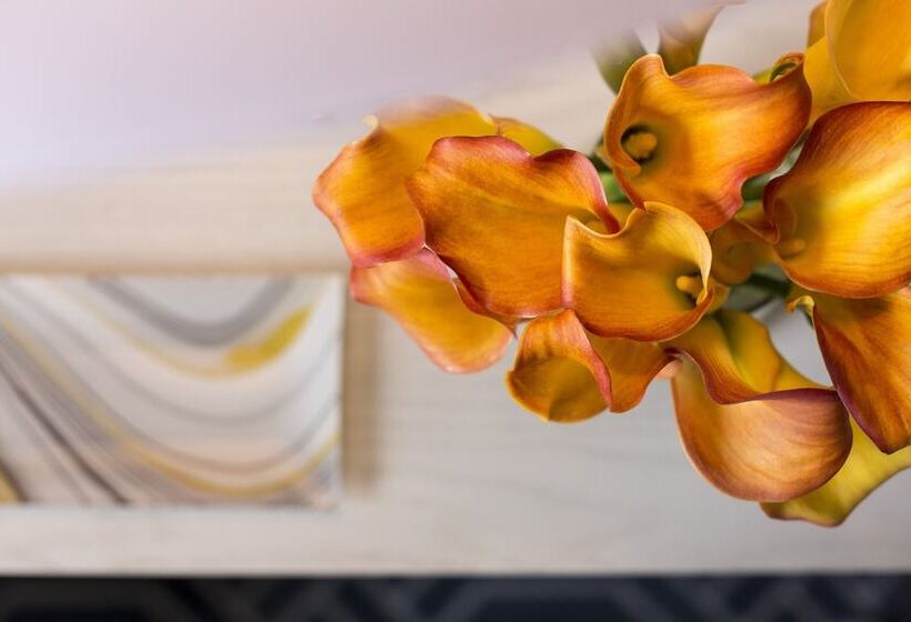 Quarto Estandar 2 Camas Casal, Four Seasons Hotel Atlanta