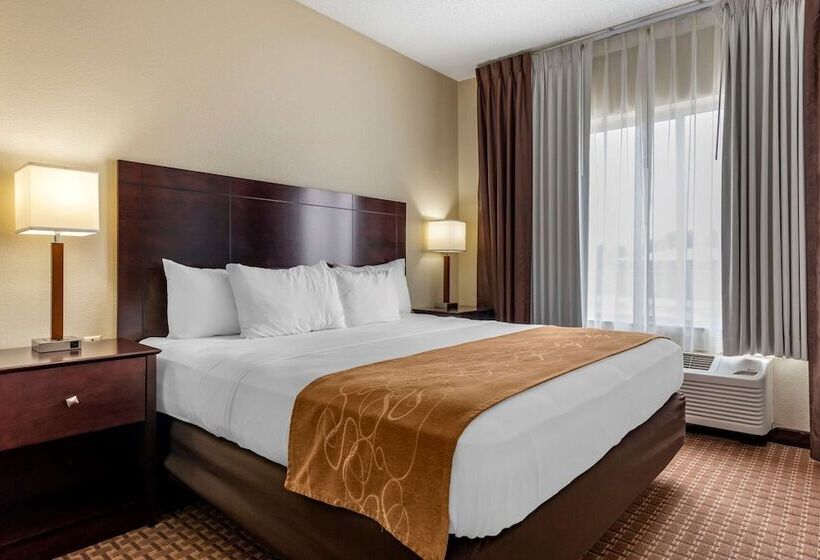 스위트 킹사이즈 침대, Comfort Suites