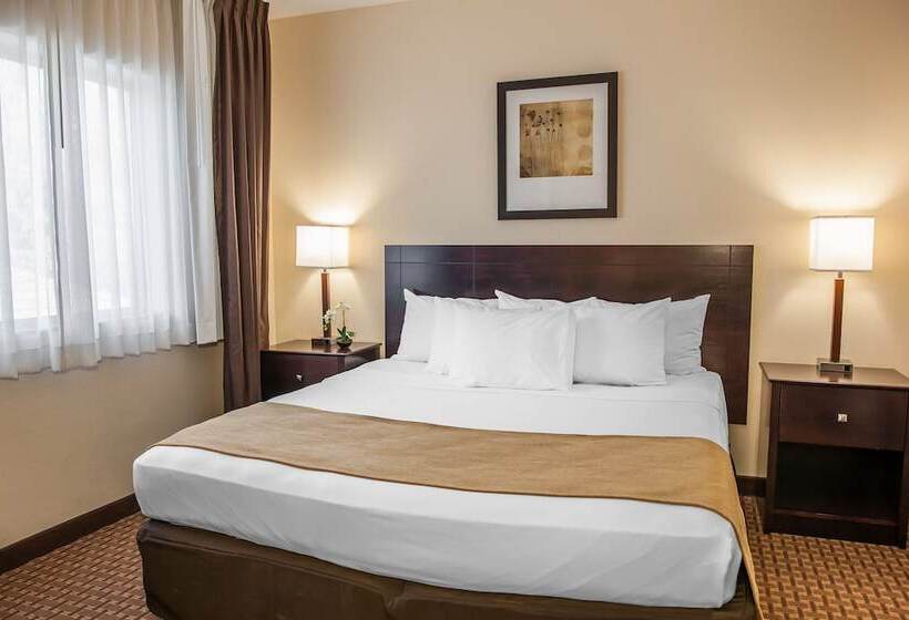 스위트 킹사이즈 침대, Comfort Suites