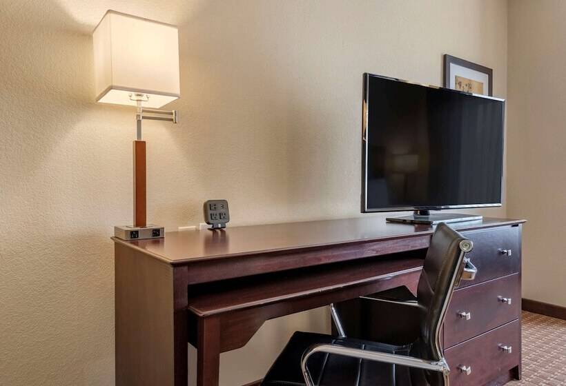 장애인을 위한 스위트, Comfort Suites
