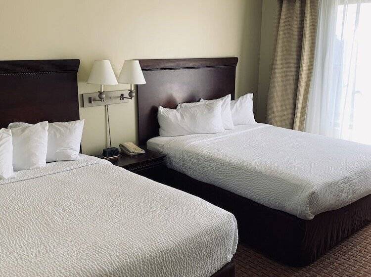 スイート, Eurosuites