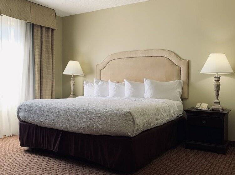 סוויטה, Eurosuites