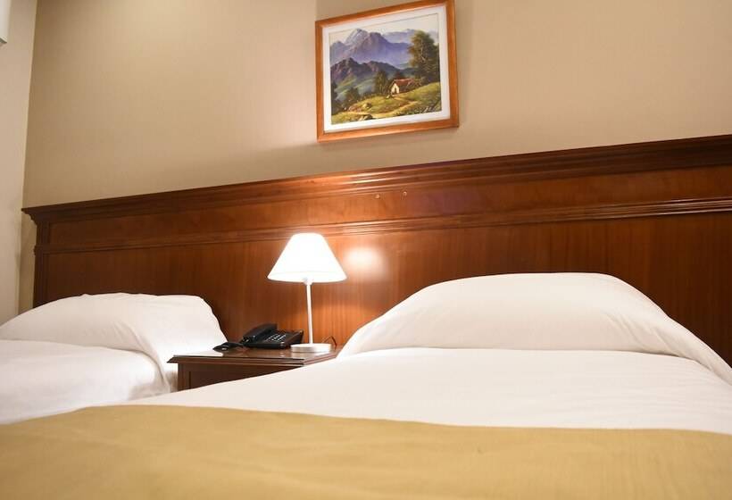 غرفة قياسية, Ritz Hotel Mendoza