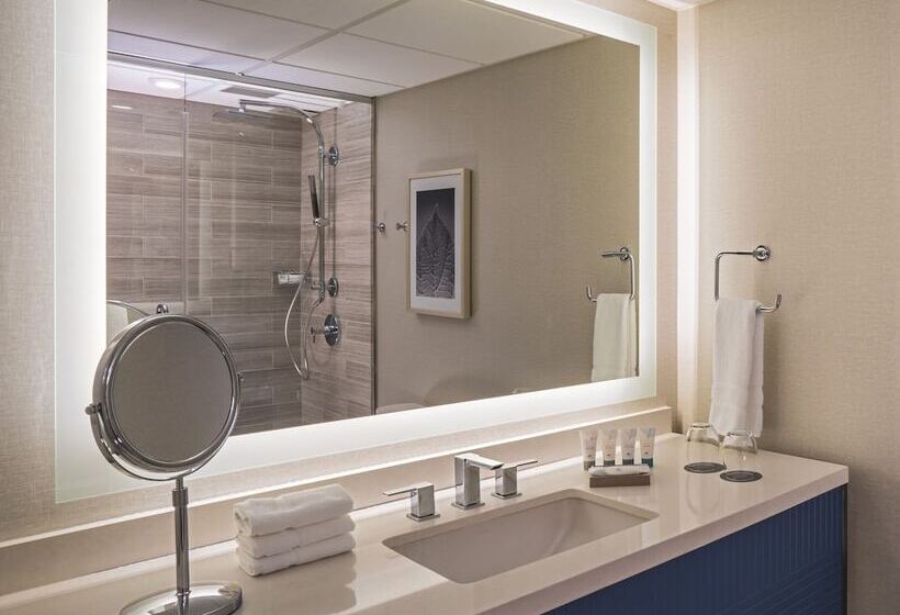 Классический Номер, The Westin Oaks Houston At The Galleria