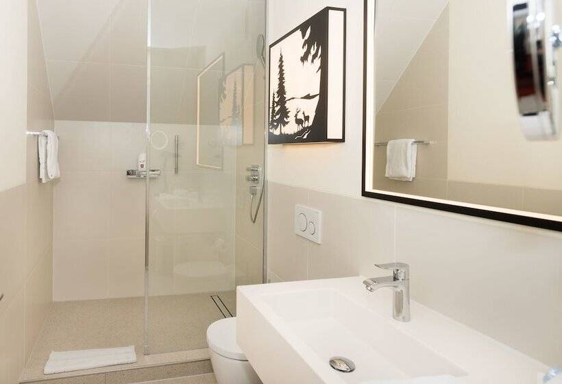 اتاق استاندارد, Parkhotel Rothof