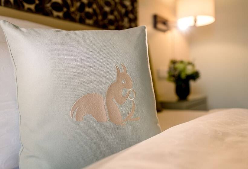 اتاق استاندارد, Parkhotel Rothof